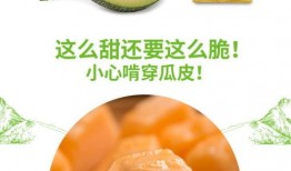 吃网红瓜的网站推荐,跟随网站探索热门八卦背后的真相