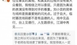 娱乐圈最新爆料论文,揭秘明星背后的惊人真相