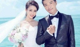 佟丽娅陈思诚最新爆料,揭秘婚姻背后的真相与抉择