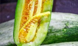 网红qw吃瓜,揭秘娱乐圈幕后真相