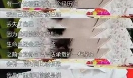 石家庄酸奶爆料事件视频,真相与争议并存