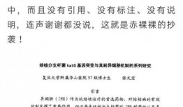 娱乐圈最新爆料论文,揭秘明星背后的惊人真相