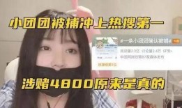 知情人爆料小团团视频,知情人爆料背后的故事
