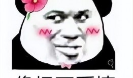 娱乐圈爆料公主号,揭秘明星背后的故事与真相