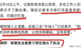 爆料撕对联博主视频,一场网络爆料的背后真相