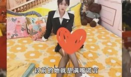 网红女博主爆料视频大全,揭秘娱乐圈幕后真相