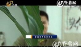 治疗癌症爆料视频大全,视频大全深度解析