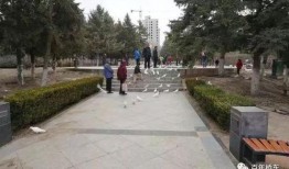张家口公园爆料视频大全,全景呈现公园魅力瞬间