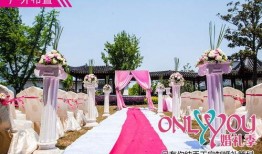 爆料吴江婚庆事件最新,揭秘幕后真相与公众舆论风暴