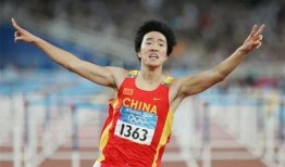 刘翔网友爆料事件真相视频,揭秘背后真相与真相背后的真相