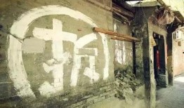 张家口公园爆料视频大全,全景呈现公园魅力瞬间