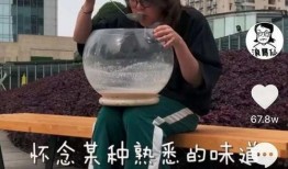 涛哥爆料浪胃仙视频,浪胃仙视频背后的惊人真相