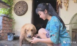 主播爆料山羊生病了视频,主播紧急关注