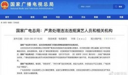 独家爆料逃税案例视频大全,独家爆料案例视频大全深度解析