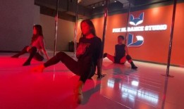 爆料雏形舞蹈视频教学,跟随雏形舞蹈视频，轻松学会舞蹈技巧