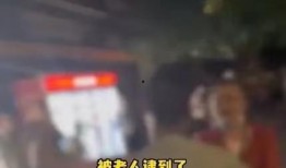 重庆小学生爆料事件视频,校园疑云揭开真相