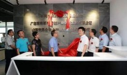 东莞新闻今日凤岗爆料,东莞热点事件追踪