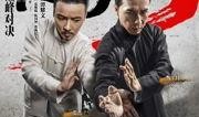 叶问3粤语在线观看,传承武术精神，重温经典对决