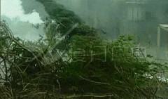 最新爆料台风视频播放,台风来袭！最新视频揭秘惊心动魄的瞬间