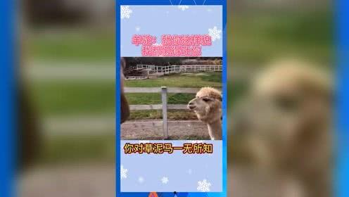 娱乐吃瓜的途径